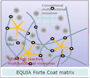 EQUIA Forte Fil: Glass Hybrid Innovation EQUIA Forte Traditional GI Structure Highly reactive Fluoro-alumino-silicate fillers (<4μm): Helps to release more metal ions which improves the cross-linking