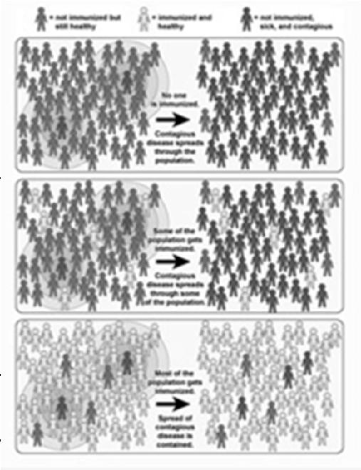 On the main page, under RELATED LINKS, click on What is Herd Immunity?. Read this section and answer the questions below. 8) What is herd immunity?
