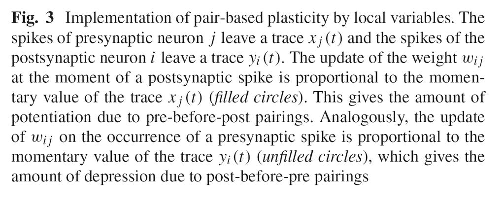 3 Long term plasticity STDP updating rules phenomenological models of synaptic plasticity generally operate with update