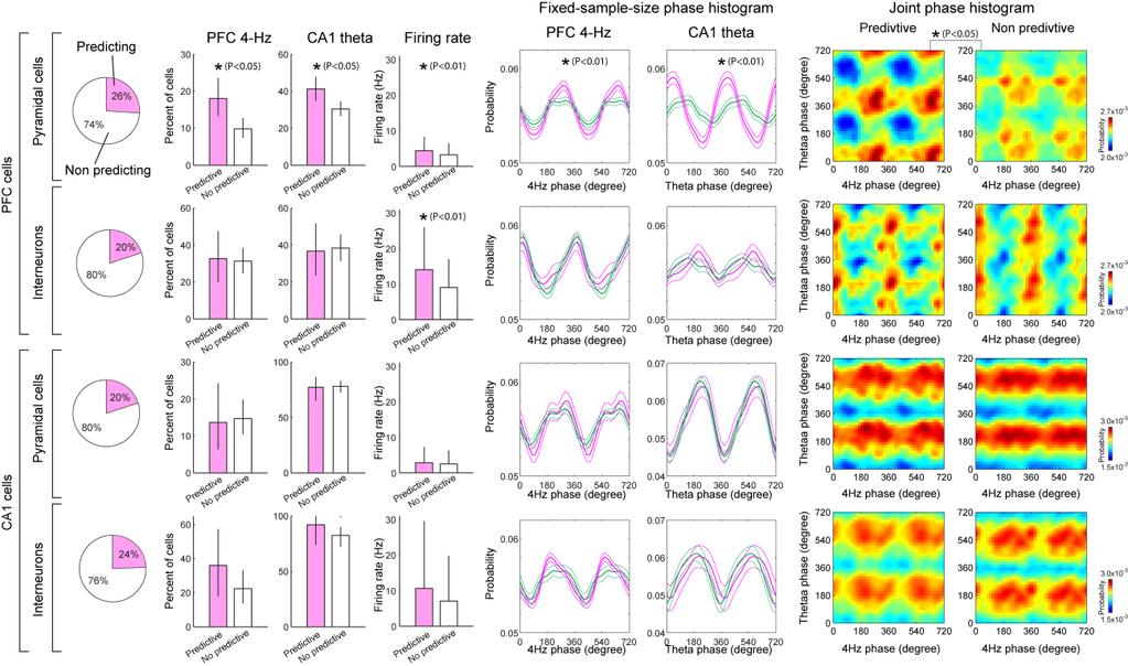 Figure S6. Trial outcome-predicting PFC neurons are more strongly modulated by the 4-Hz oscillation than nonpredicting cells.