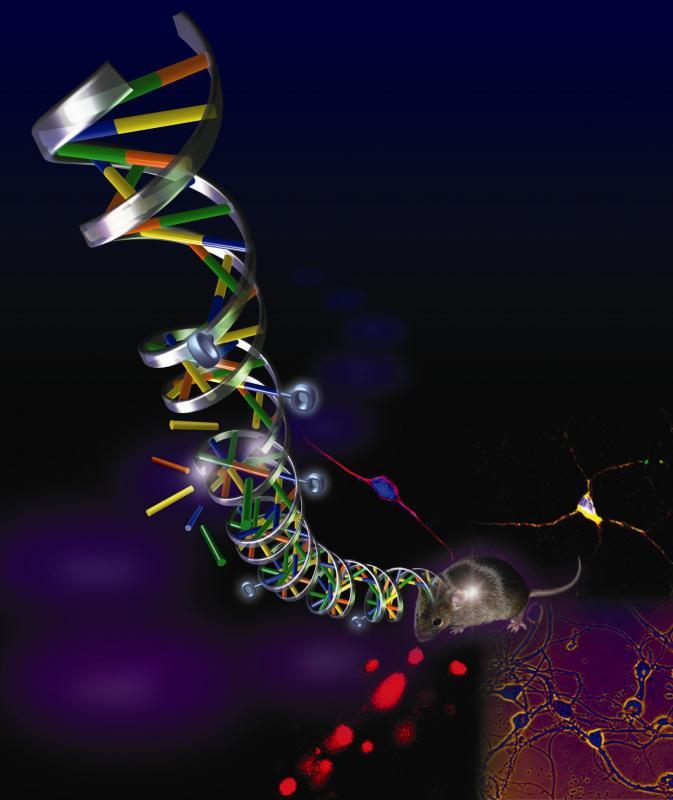 DNA Is Not Destiny The science of epigenetics