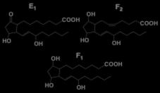 Arachadonic acid Prostaglandins E 1 F 2 F 1 Prostaglandins Blood clotting Biological effects Stimulation of smooth muscles Regulation of steroid production