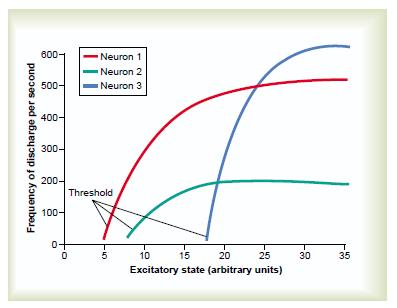 Relation of state of excitation of the neuron to rate of firing Different neurons respond differently, have different thresholds for excitation, and have widely