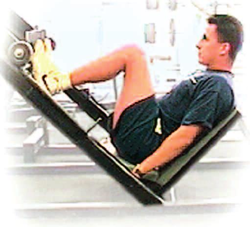 46 Weight Training Circuit Workout 1.