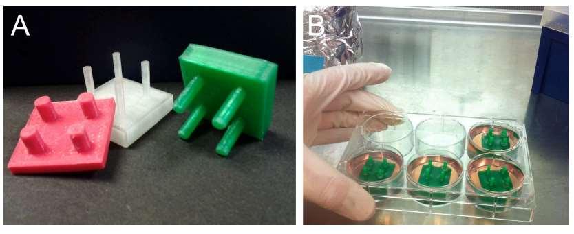 Figure 5.2. (A) bio-inert posts made of PLA, (B) posts placed in the molds. Figure 5.3. (A) torroids on the post of 2mm.