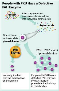 What is phenylketonuria? Phenylketonuria (PKU) is an autosomal recessive genetic disorder that increases the levels of a the amino acid ;phenylalanine in the blood.