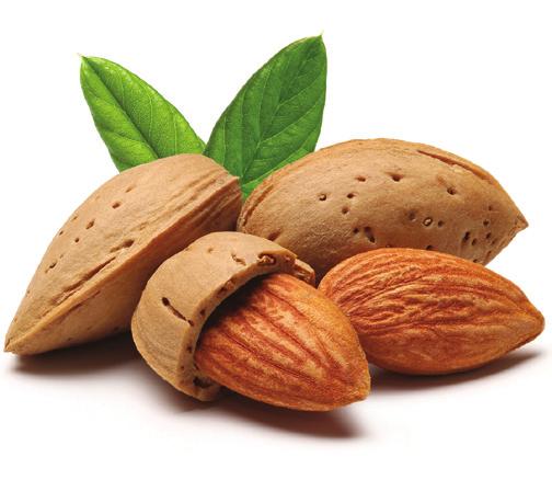 Lifestyle Survey Nuts, Oils, Dressings, and Spreads In an average WEEK, 1. How many servings of peanut butter or nuts (like peanuts, almonds, pecans, walnuts or cashews) do you usually eat?
