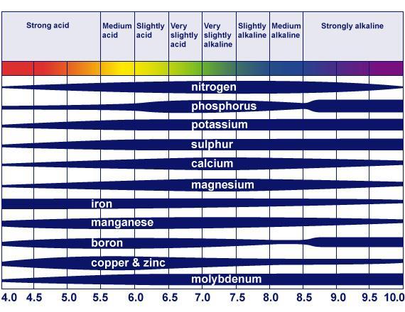 Optimal ph Why is ph so important?
