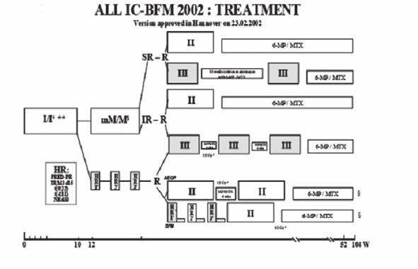 Preliminary Communication Rep Pract Oncol Radiother, 2007; 12(5): 283-288 Table 3. Differences between ALL-BFM 90 protocol and ALL IC-BFM 2002 treatment arm for SRG- and IRG-patients with ALL.