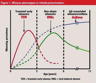 Wheezying In Infancy one year of age, with intermittent or episodic pattern of wheezing; Wheezing triggers by multiple factors (eg, viral infection, exercise, smoking); History of clinical atopy or
