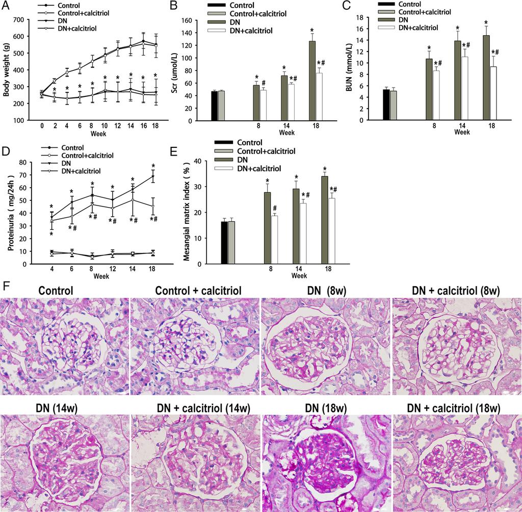 doi: 10.1210/en.2014-1020 endo.endojournals.org 4943 Figure 1. Effect of calcitriol on body weight, Scr, BUN, proteinuria. and renal histopathological change in DN rats. A, Body weight. B, Scr.
