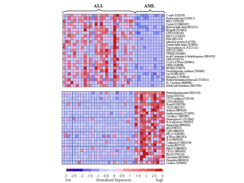 Results Genes distinguishing ALL from AML. The 50 genes most highly correlated with the ALL/AML class distinction are shown.