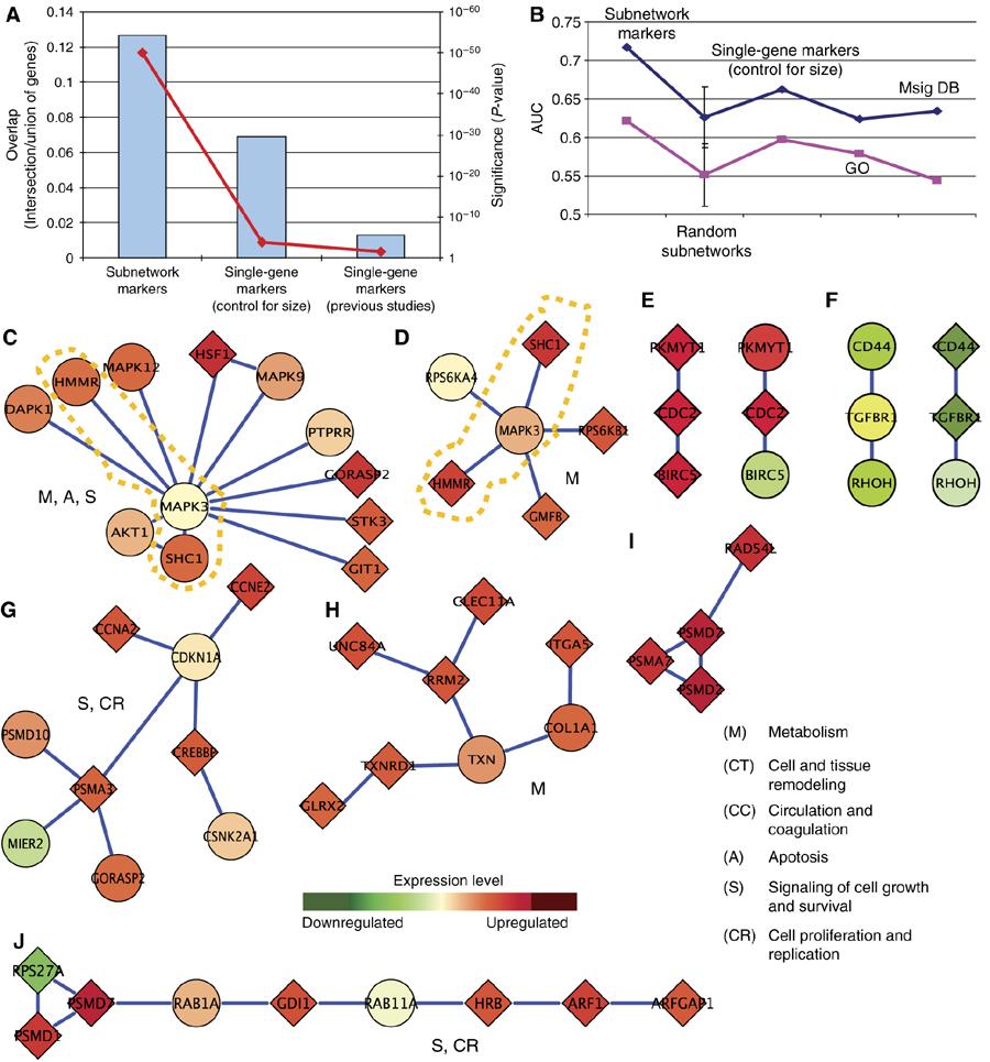 Microarray Data + Protein Interaction Networks Marker reproducibility and metastasis prediction