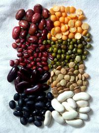 Eat More Plant Proteins Legumes great source of plant proteins antioxidants, fiber, vitamins, and minerals Garbanzo beans, kidney
