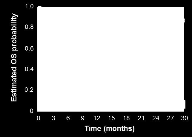 population) Median OS was 21.1 months (range: 12.9 31.