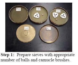 Procedures for Determining Feed Particle Size 1.