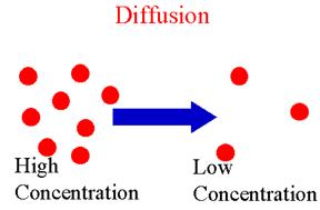 Diffusion Particles constantly move Collide randomly Spread out randomly Diffusion is moving