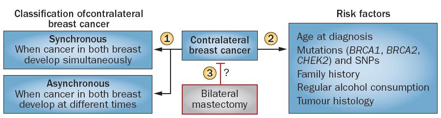 BILATERAL BREAST CANCER Increase of bilateral mastectomy SEER registry: 1.8% in 1998 and 4.5% (1998-2003).