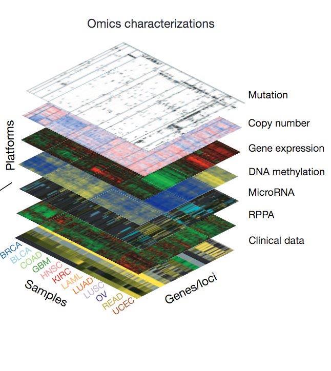 Deciphering osteosarcoma omics to improve therapeutic targeting: A retrospective analysis of 400 patients WGS WES RPPA Osteosarcoma is a major sarcoma type that is still poorly characterized and not