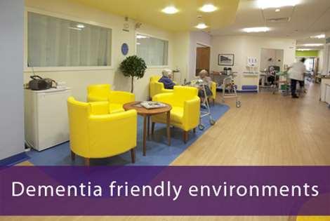 Theme 1:Ageing and dementia friendly environments People with dementia