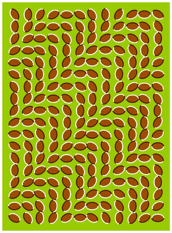 This is"the donguri wave" illusion.