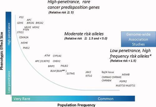 Inherited Predisposition to Cancer Hereditary mutations account for 5-10% of all cancers High penetrance, rare cancer predisposition genes (Relative risk 5) Discovery of novel cancer predisposition