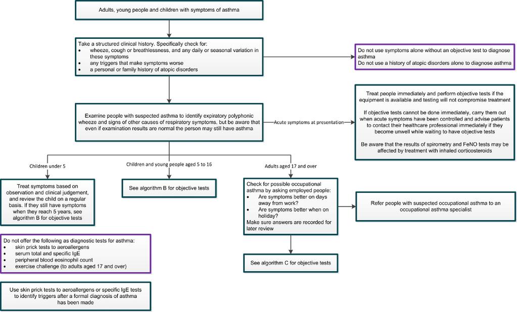 Algorithm A Initial clinical assessment for adults, young people and children with