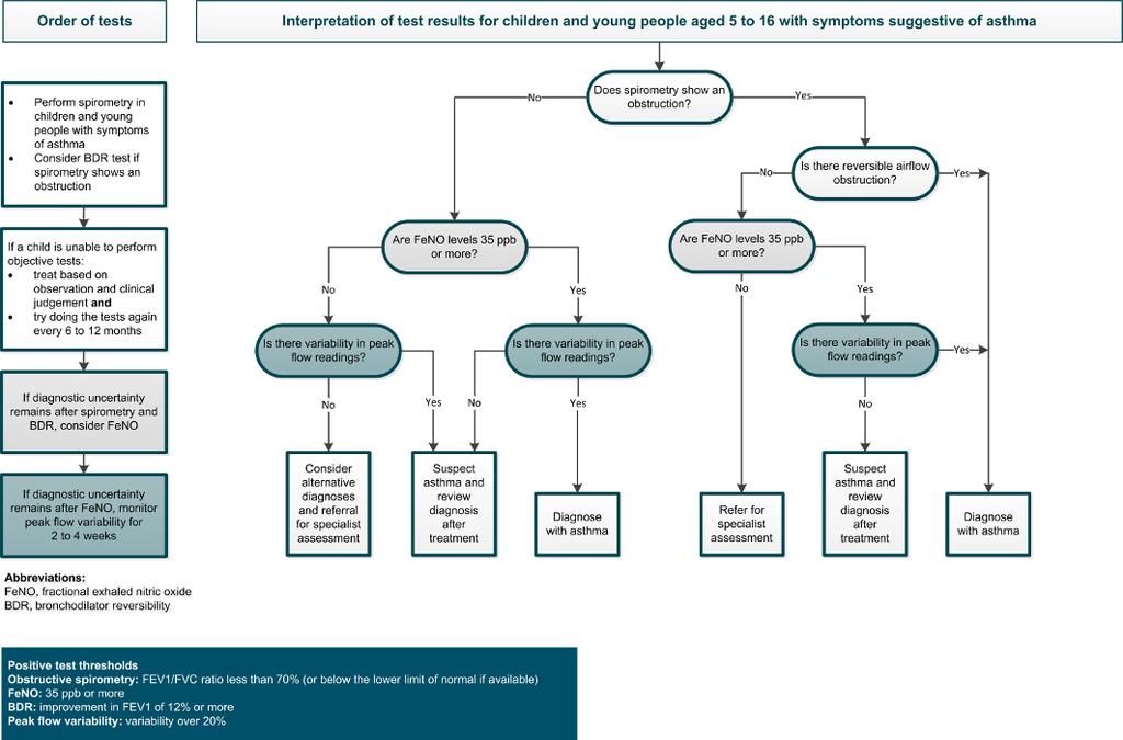 Algorithm B Objective e tests for asthma in children and young people aged 5 to 16