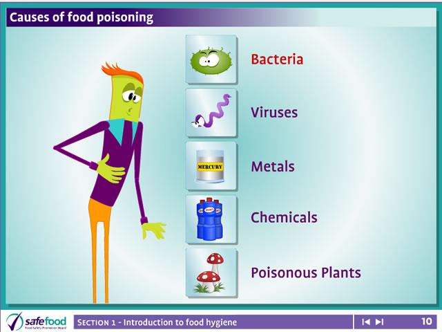screen 10 Bacterial contamination of food The screen shows animations of different bacterial contamination of food. Use the on-screen buttons to view the different animations.