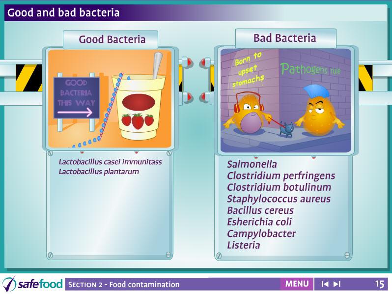 screen 15 Good and bad bacteria This screen shows pathogenic bad or harmful bacteria and good bacteria.