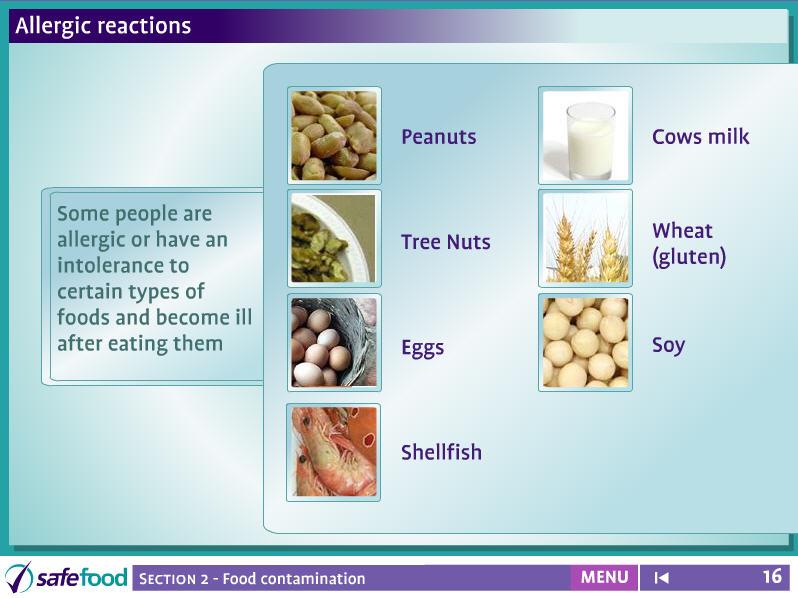 screen 16 Allergies Screen Description The screen shows foods that some people are allergic or have an intolerance to.