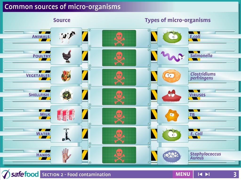 screen 3 Food and types of organisms The screen shows how our food sources are also the main source of pathogens (harmful microorganisms).