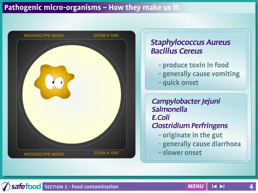 screen 4 Pathogenic Micro-organisms How they make us ill Screen Description The screen shows a microscope slide containing a micro-organism.