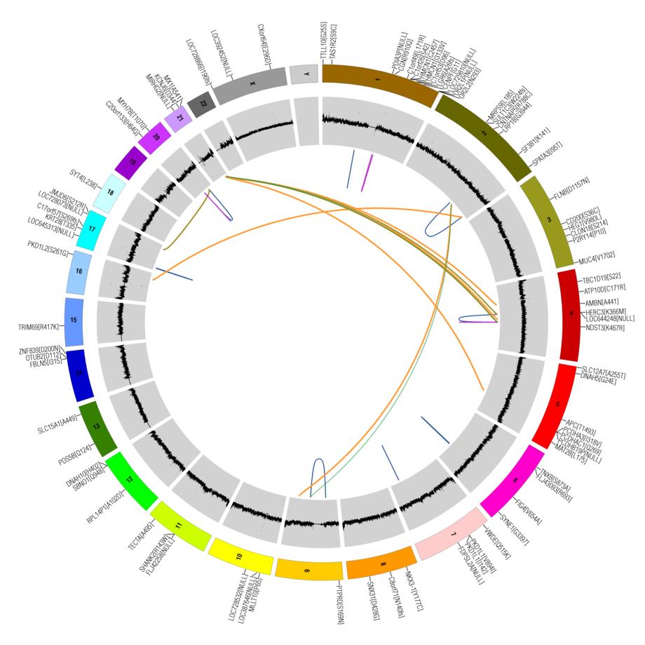 The Prostate Cancer Genome Undergoes Frequent Large-scale Genomic Rearrangements Detected by Whole Genome Sequencing Median of 90 rearrangements per genome (range 43-213).