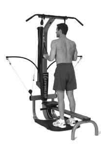 40 Arm Exercises Lying 45 Degree Triceps Extension Elbow Extension Muscles worked: This exercise emphasizes the triceps muscles located on the back of the upper arms. Pulley position: Narrow only.