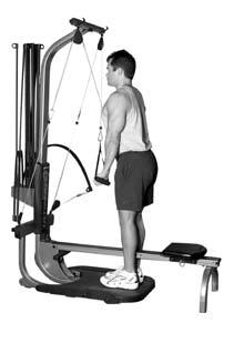 Arm Exercises 41 Rope Pushdowns Elbow Extension Muscles worked: This exercise emphasizes the triceps muscles located on the back of the upper arms.