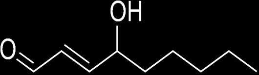 HNE je jedini reaktivni aldehid koji se nalazi i u fiziološkim stanjima u mjerljivim količinama (62, 63). U tkivima i u serumu fiziološka koncentracija HNE-a je manja od 0,1 µm.