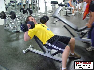 Incline Dumbell Flys Position While seated on the edge of an incline bench, grasp two dumbbells in an overhand grip. Rest the dumbbells in an upright position on the edge of your knees.