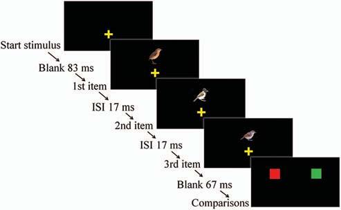 128 JITSUMORI AND USHITANI for pigeons to identify specific individual colors (e.g., Cook, Riley, & Brown, 1992), Cook et al.