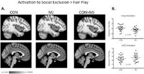 Cannabis May Alter the Pain of Social Rejection In a cyberball exclusion neuroimaging study, non intoxicated cannabis using young people showed less activation in the anterior insula (an area linked
