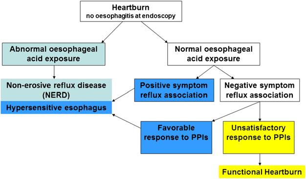 Figure 1 Classification of patients with heartburn and no evidence of oesophagitis at endoscopy using ph monitoring and response to proton pump inhibitors (PPIs); the group classified as functional