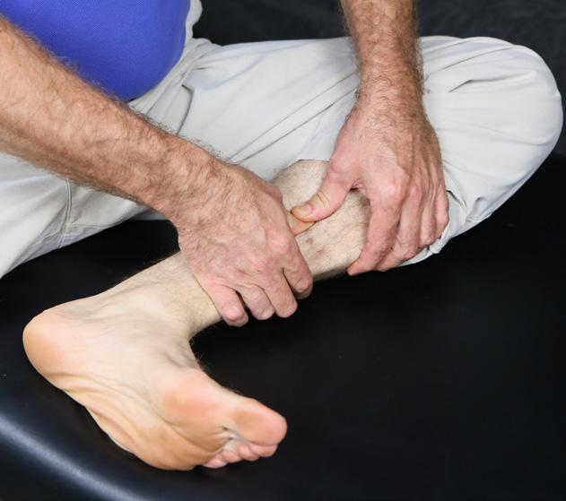 The plantar fasciae is a wide, thick, tough ligament that connects the heel bone to the front of the bottom of the foot. It is acceptable if the soleus massage is reasonably uncomfortable to perform.