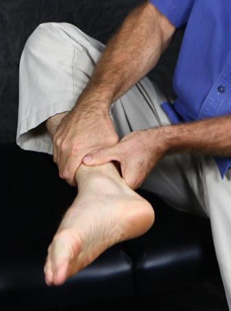 1 3 2 fibula tibia talus navicular Note: The Hip Fix and the Ankle Fix together are sometimes necessary to activate and keep the above three muscles strong.
