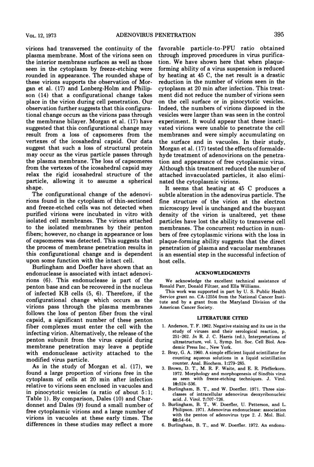 VOL. 12, 1973 ADENOVIRUS PENETRATION virions had transversed the continuity of the plasma membrane.