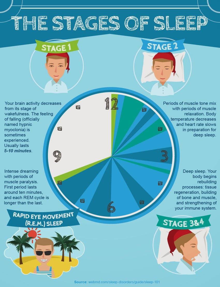 The Stages of Sleep Stage 1: Light sleep. Eyes move slowly and muscle activity slows. Stage 2: Your eye movements stop and your brain waves become slower. Stage 3: Deep sleep.