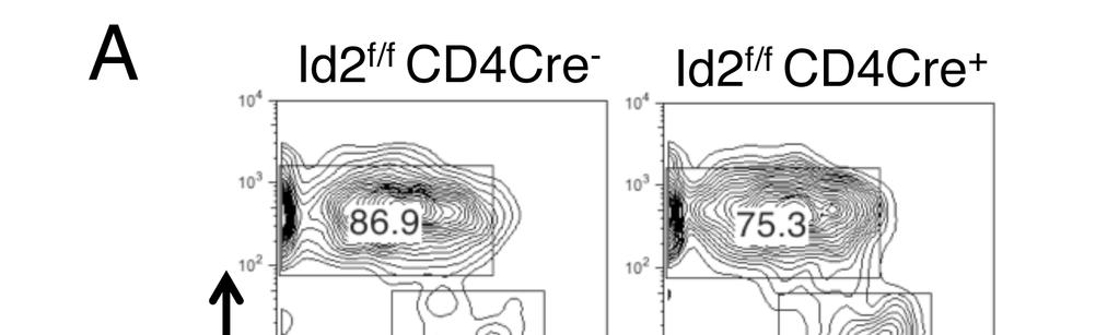 Figure 6: Conditional Id2 deficient mice have more mature γδ T cells and Vγ1.1 + Vδ6.