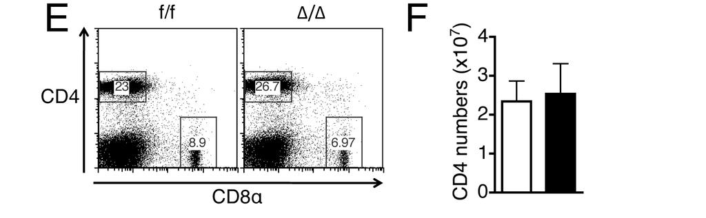 cytometry analysis shows percentage of double positive and single positive thymocytes in control (f/f) and T