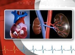 Cardiovascular Disease in CKD Parham Eftekhari, D.O., M.Sc.