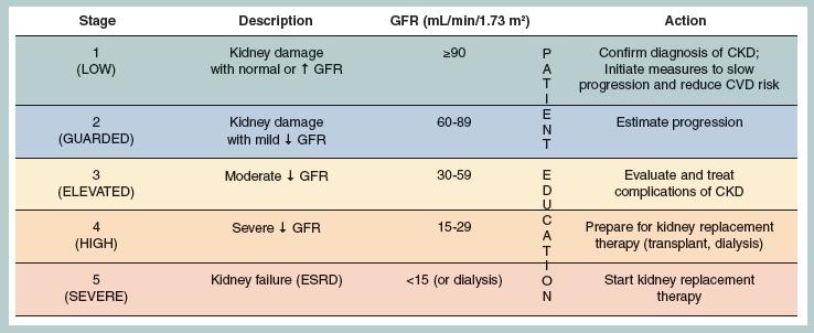 CKD Stages Clinical