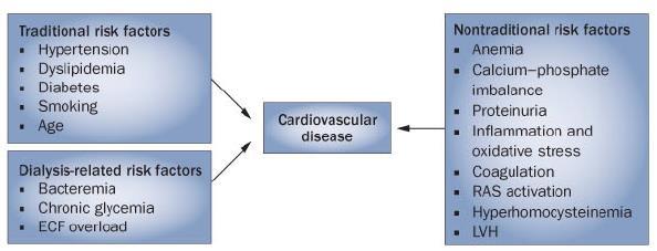 Unique Cardiac Risk Factors in CKD